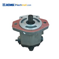 XCMG Spare Parts of Crawler Crane Steering Oil Pump*803000065 Low Price Hot for Sale
