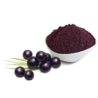 most Popular Acai Berry Fruit Powder for Developing Supplements