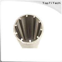 the Stainless Steel Wedged Wire Mesh Filter