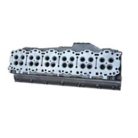 Brand New Cylinder Head D2366 for M-AN
