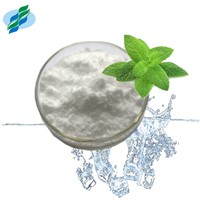 Food Grade Ws23 Cooler Additive Mint Used for Toothpaste Oral Products