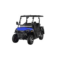 2024 High Quality TrailCross 400 Golf UTV Side by Sides 4x4 400cc Buggy for Adult