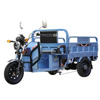 Cargo &amp;amp; Passenger Motor Tricycle High-Power Engine Electric Tricycle for Freight