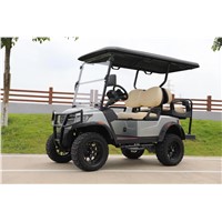 Chinese 4 Passenger Electric Golf Cart/Buggy
