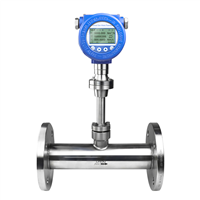 Digital Thermal Gas Mass Flow Meter with LCD High Accuracy Gas Mass Flow Measurement
