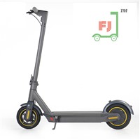 FERRARJ. COM 10INCH SEGWAY NINEBOT G30 MAX ELECTRIC SCOOTERS SAME MODEL CHINA OEM ODM SUPPLIER FOLDBLE E-SCOOTERS