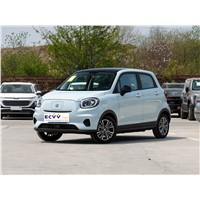 Cheap Small Electric Vehicle 2024 LEAPMOTOR T03 4 Seats New Energy Car Leapmotor T03 with Low Price in Stock