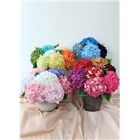 Artificial Hydrangea Flower Natural Lifelike Real Touch Faux Large Royal Hydrangea Flower for Home Party Outdoor Wedding