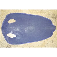 Best Grade Stingray Skin Leather