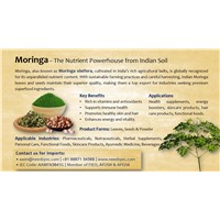 Moring Powder &amp;amp; Leaves Medicinal Herbs