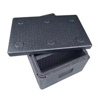 Customized Compact Insulated Cooler Box 20L-136L Epp Foam Box for Transportation