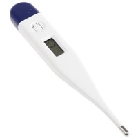 Brannan 11/064/2 Digital Thermometer, 1 Input Oral