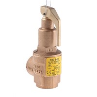 Nabic Valve Safety Products 4bar Pressure Relief Valve With Female BSP 3/4 in BSP Female Connection and a BSP 3/4