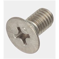 Plain Flat Stainless Steel Tamper Proof Security Screw, 8mm Long
