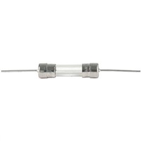 Schurter, 5A Glass Cartridge Fuse, 5 x 20mm, Speed F