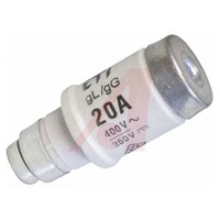 Fuse Slow Blow 20A gL/gG 0.43x1.42 Glass