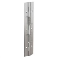 Pinet Plain Stainless Steel Spring Hinge, 180mm x 40mm x 1.5mm