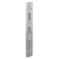 Pinet Plain Stainless Steel Spring Hinge, 240mm x 40mm x 1.5mm