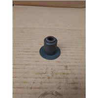 Exhaust valve oil seal