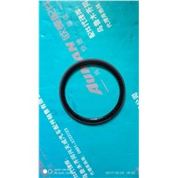 Shaft Seal Ring (SD190*220*15)