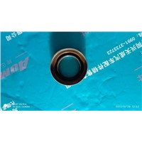 Rear Axle Active Bevel Gear Oil Seal Assembly