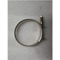 Hose clamp for intake device (D110)