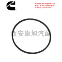 Rectangular Seal Ring Xi'an Kangxu Auto Parts