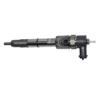 0445110585 Bosch Injector Assembly BOSCH Remanufacture Injector Applicable to Weichai Power