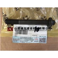 Flywheel bolt hexagonal screw