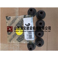 Exhaust valve oil seal