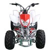 ATV(GE200ST-02),QUAD,POCKET BIKE,SCOOTER,MOTO,SPOR