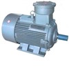 YB2 series explosion-proof three-phase asynchronous motors