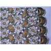 Sell T/r Fabric with Embroidery
