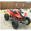 sport ATV 300cc