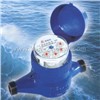 Rotary vane wheel dry-dial water meter