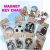Magnetic Key Chain