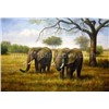 Animal Oil Painting on Canvas