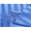 Polyester Charmeuse  Vertical Strip