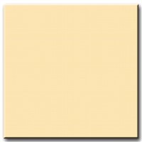 Golden beige polished tile