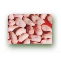 blanched peanut peanut kernel