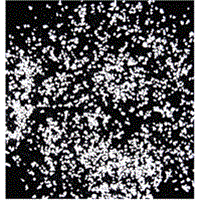 Sodium Dichloroisocyanurate (SDIC)