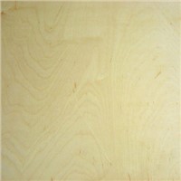Birch face/back(Rotary cut )poplar core plywood