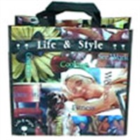 Plastic Woven Gift Bags