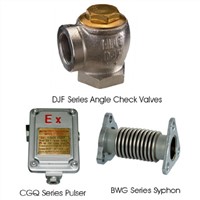 Angle Check Valve, Pulser And Syphon