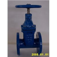 gate valve TO BS 5163