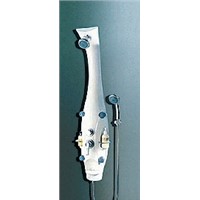 Shower panel