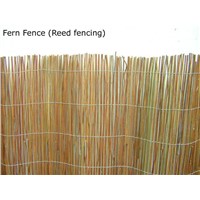 Black reed fence