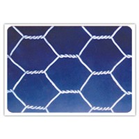 hexagonal wire mesh