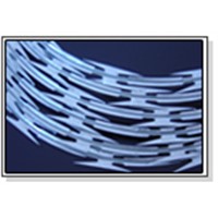 blade-gill wire net