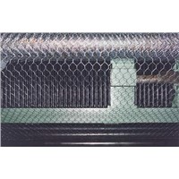 hexagonal wire mesh
